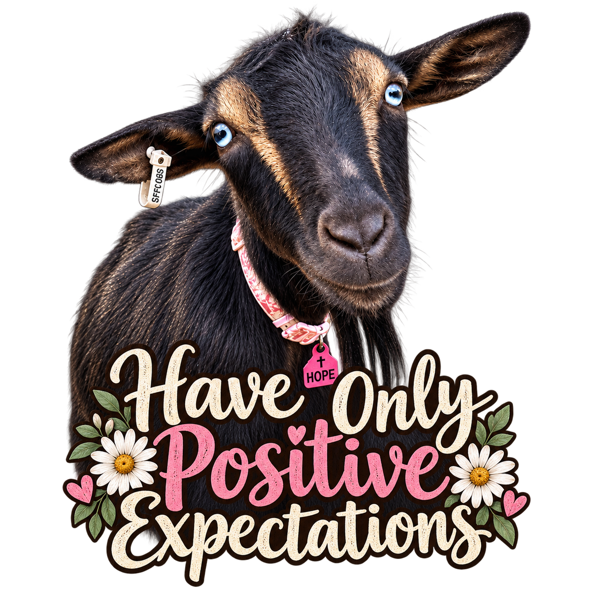Hope, the goat at the heart of It All Started With a Little Hope