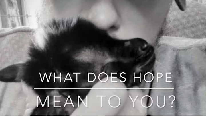 Baby Hope snuggled close, from Lauren’s What Does Hope Mean to You video